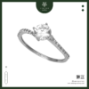 cincin sc 13