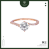 cincin sc 15