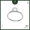 cincin sc 4