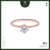 cincin sc 6